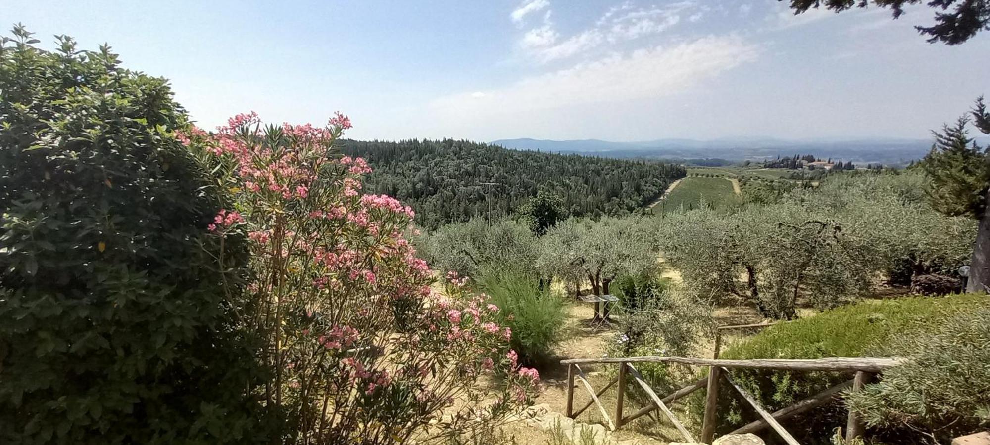 Borgo Nel Chianti Istrice Con Piscina Tennis E Wifi Castellina in Chianti Exterior foto